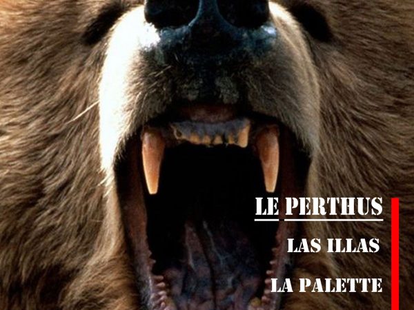 Marathon des Ours Catalans TRANSPY 42 KM -2027